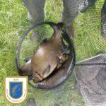 2024_wustrowangeln_fische_3