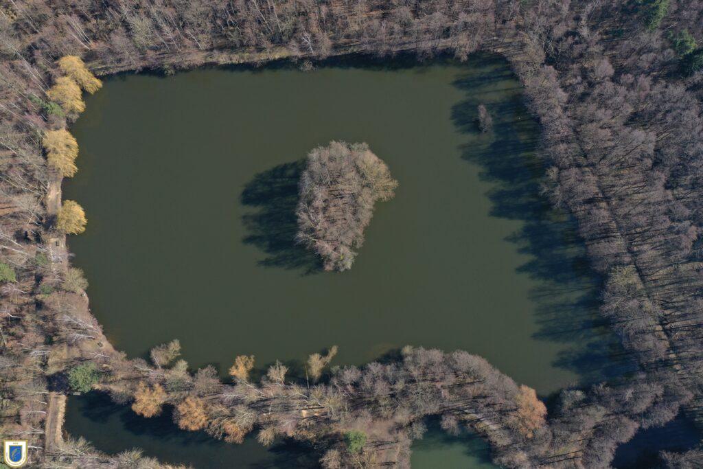 Wischerteich