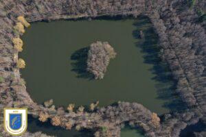 Wischerteich
